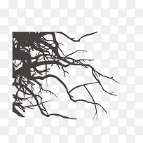 树枝枯枝-空若网 树枝枯枝-空若网