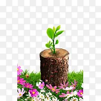 努力成长的树-空若网 努力成长的树-空若网