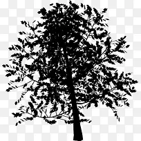 树-空若网 树-空若网