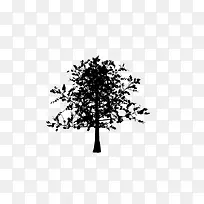 树-空若网 树-空若网