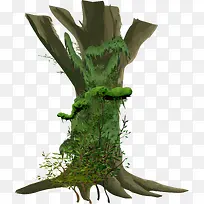 老树矢量素材-空若网 老树矢量素材-空若网