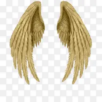 翅膀图案素材-空若网 翅膀图案素材-空若网