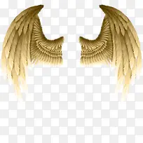 翅膀图案素材-空若网 翅膀图案素材-空若网