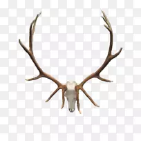 ��β¹��ͷ�ǹ�¹ͷ-������