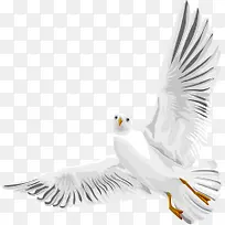 �ֻ�ˮī��ɫ�׸�-������