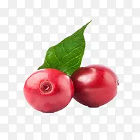 红色带叶子的咖啡果实物-空若网 红色带叶子的咖啡果实物-空若网