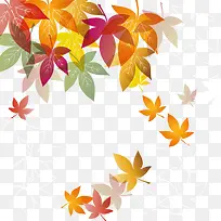 创意枫叶-空若网 创意枫叶-空若网