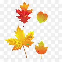 黄色枫叶-空若网 黄色枫叶-空若网