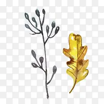 �����ɫ��Ҷ-������