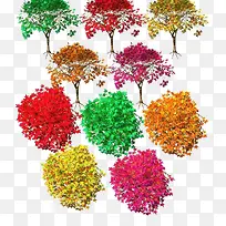 枫叶树-空若网 枫叶树-空若网