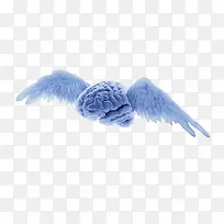 ���-������