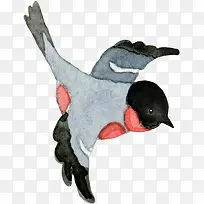 ����ĺ�ɫ����-������