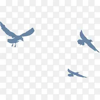 �����Ӱ-������