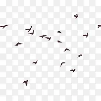 飞鸟剪影-空若网 飞鸟剪影-空若网