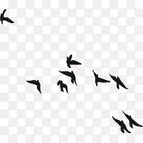 �����Ӱ-������