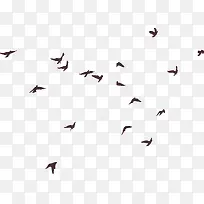 飞鸟剪影-空若网 飞鸟剪影-空若网