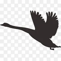 大雁剪影-空若网 大雁剪影-空若网