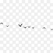 飞鸟剪影-空若网 飞鸟剪影-空若网
