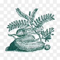 手绘蔬菜-空若网 手绘蔬菜-空若网