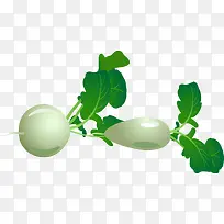 精美蔬菜蔓菁-空若网 精美蔬菜蔓菁-空若网