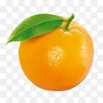 �ۻ�ɫˮ��-������