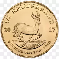 ��³���ʽ��-������