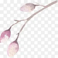 ˮ�� ��ֲ�� ����-������