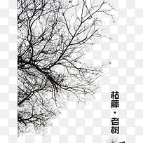 ¿ÝÊ÷-¿ÕÈôÍø ¿ÝÊ÷-¿ÕÈôÍø