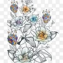 �ڰ������ŵ仨��-������