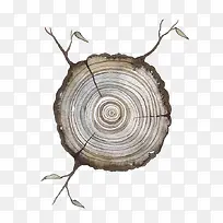 树干-空若网 树干-空若网