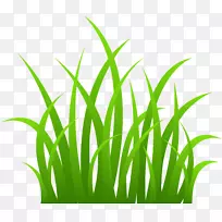 虎耳草剪贴画-草-空若网 虎耳草剪贴画-草-空若网