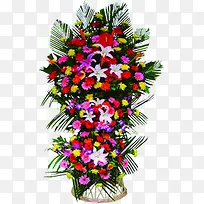 ��ɫ����������-������