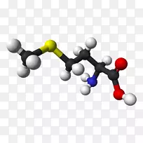 蛋氨酸必需氨基酸化学-空若网 蛋氨酸必需氨基酸化学-空若网
