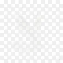 翅膀素材羽毛素描图片 -空若网 翅膀素材羽毛素描图片 -空若网