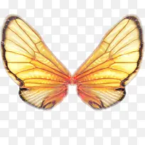 ��ëƮ��ʸ����ë-������