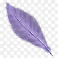 彩色翅膀手绘翅膀 紫色羽毛-空若网 彩色翅膀手绘翅膀 紫色羽毛-空若网