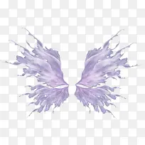 羽毛彩色翅膀-空若网 羽毛彩色翅膀-空若网