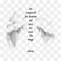 白色羽翼-空若网 白色羽翼-空若网