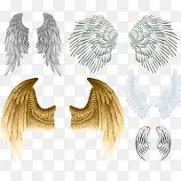 天使的翅膀-空若网 天使的翅膀-空若网