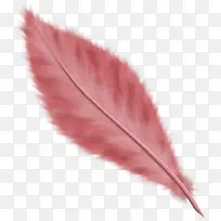 矢量羽毛卡通-空若网 矢量羽毛卡通-空若网