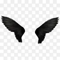 ��ɫ���-������