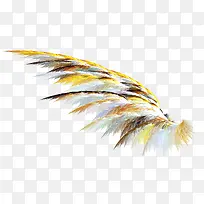 翅膀素材-空若网 翅膀素材-空若网