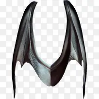 恐龙翅膀-空若网 恐龙翅膀-空若网