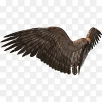 恶魔翅膀-空若网 恶魔翅膀-空若网