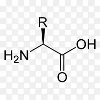 蛋白质性氨基酸天冬氨酸-1-空若网 蛋白质性氨基酸天冬氨酸-1-空若网