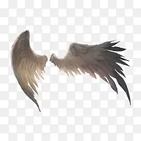 恶魔翅膀-空若网 恶魔翅膀-空若网