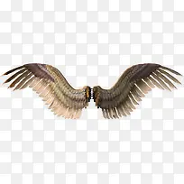 ��ħ���-������