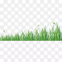 ������-��-������