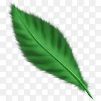 �ֻ���ʸ����ë�ز�-������