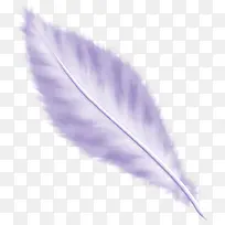 ֽ������ë����ز�-������